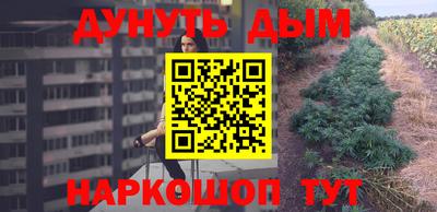 прущие крисы Новодвинск