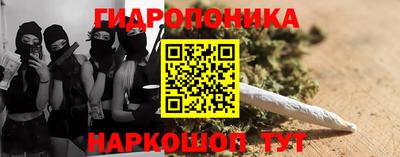 каннабис Новозыбков