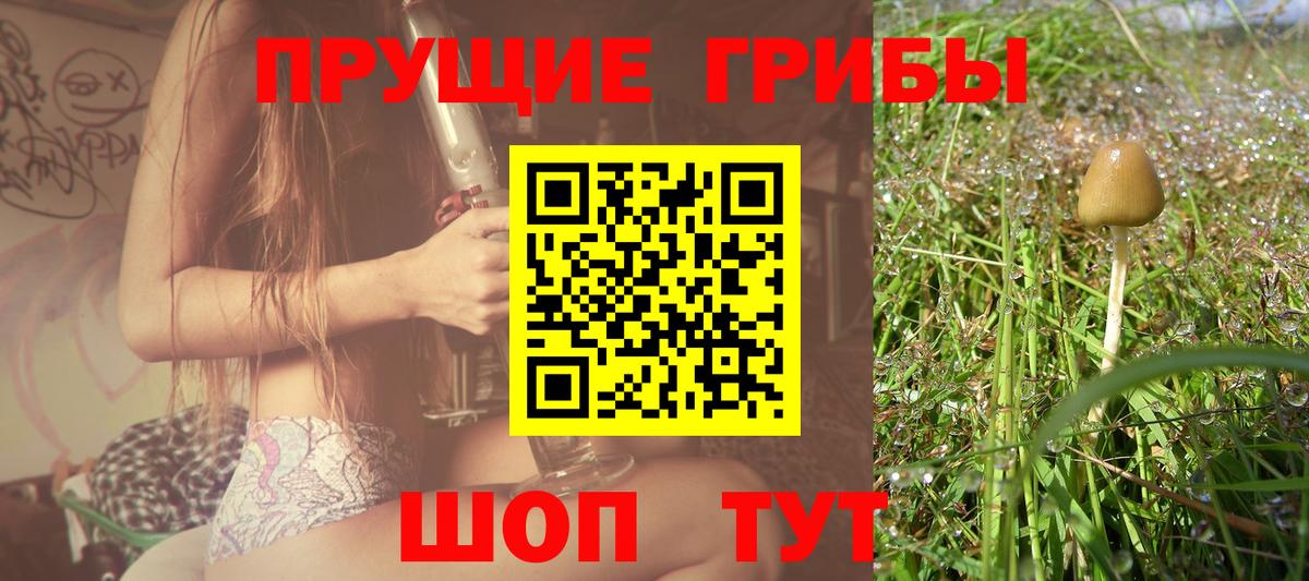Галлюциногенные грибы GOLDEN TEACHER Шатура