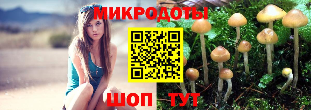 Псилоцибиновые грибы Magic Shrooms  Вход с VPN  Шатура  Галлюциногенные грибы прущие грибы 